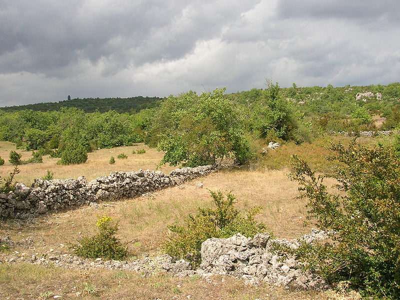 Causse du Larzac