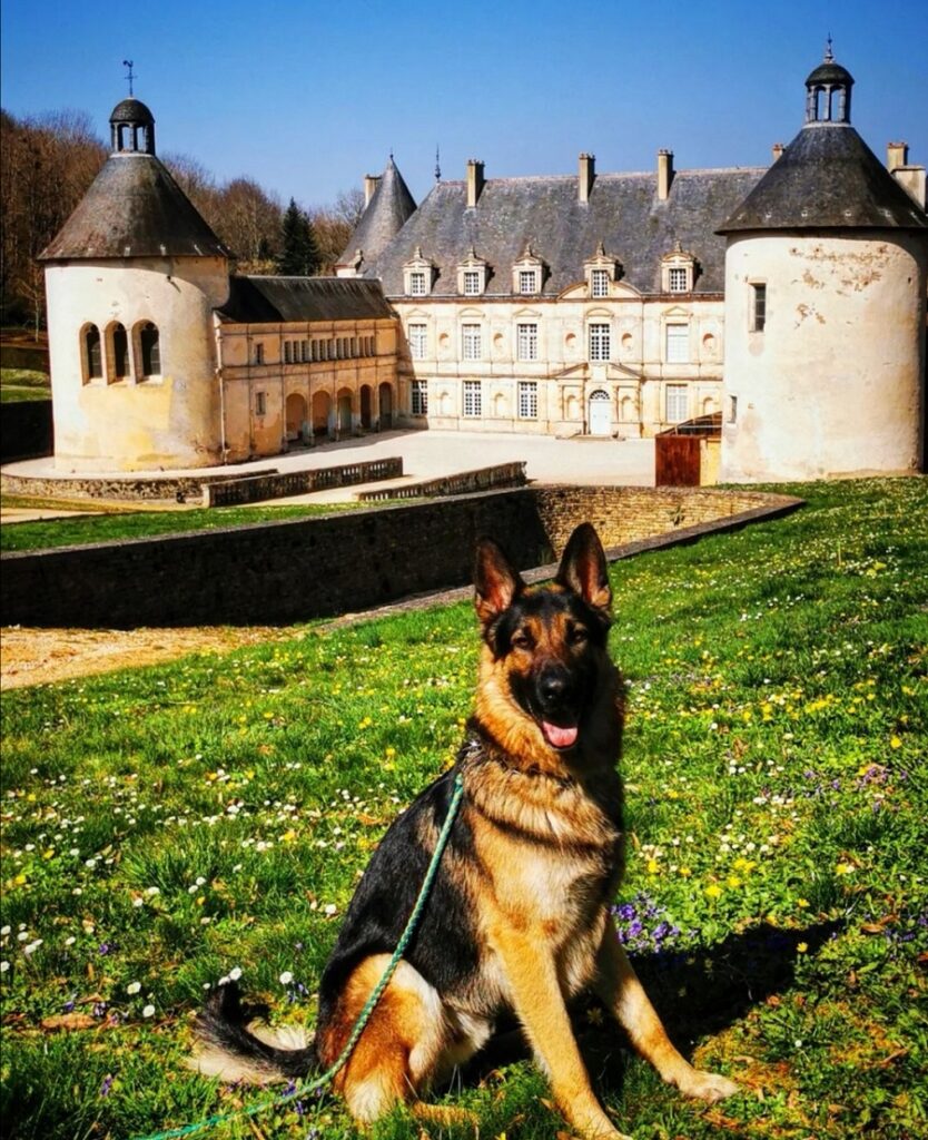 Parc et jardin du château de Bussy-Rabutin chien accepté