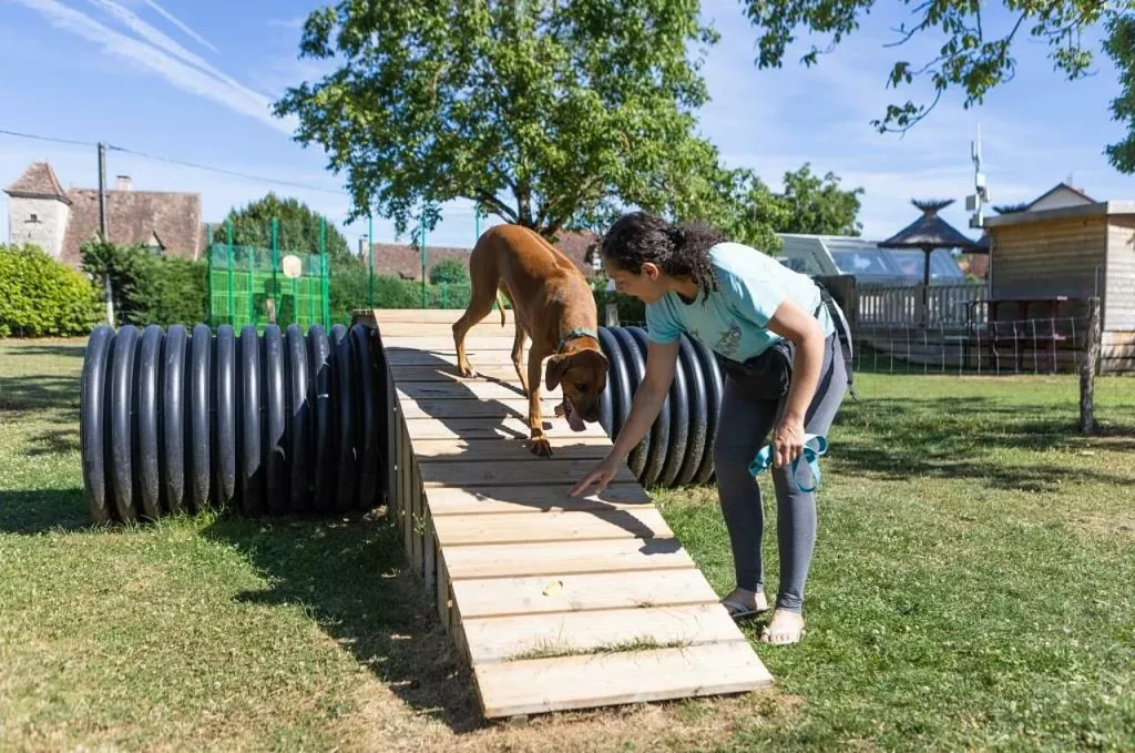 camping le ventoulou chien accepté