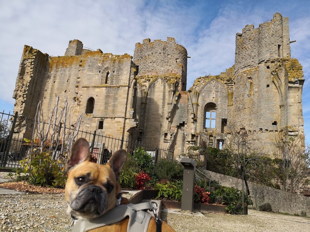 château de bourbon l'archambault chien accepté