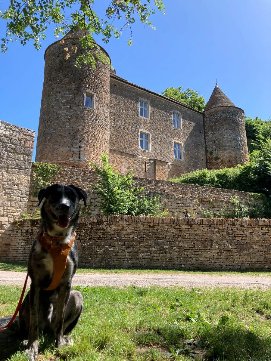 Château de Brancion