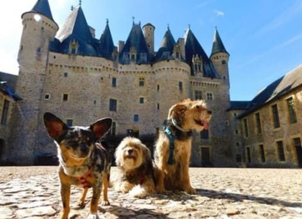 château de jumilhac et ses jardins chien autorisé