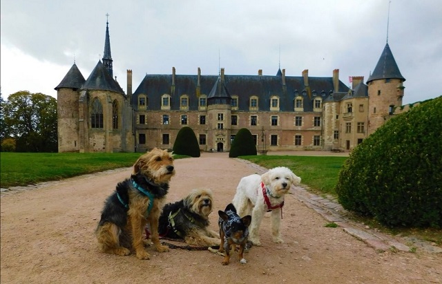 Château de La Palice