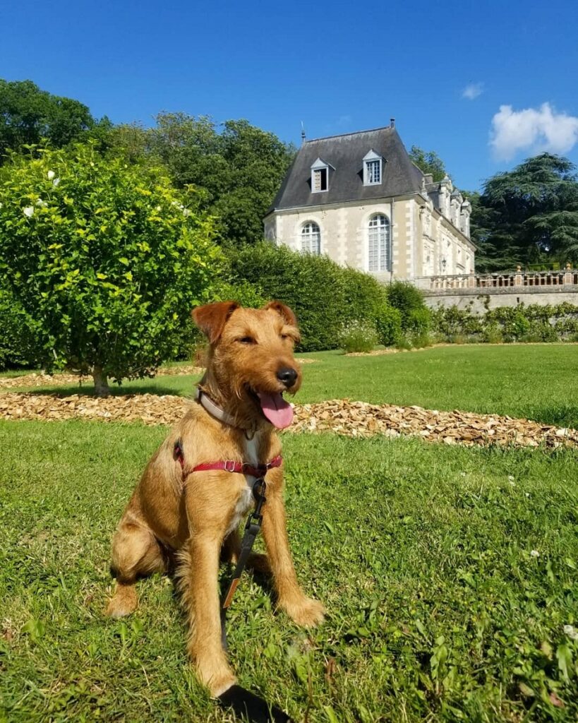 château de valmer avec chien