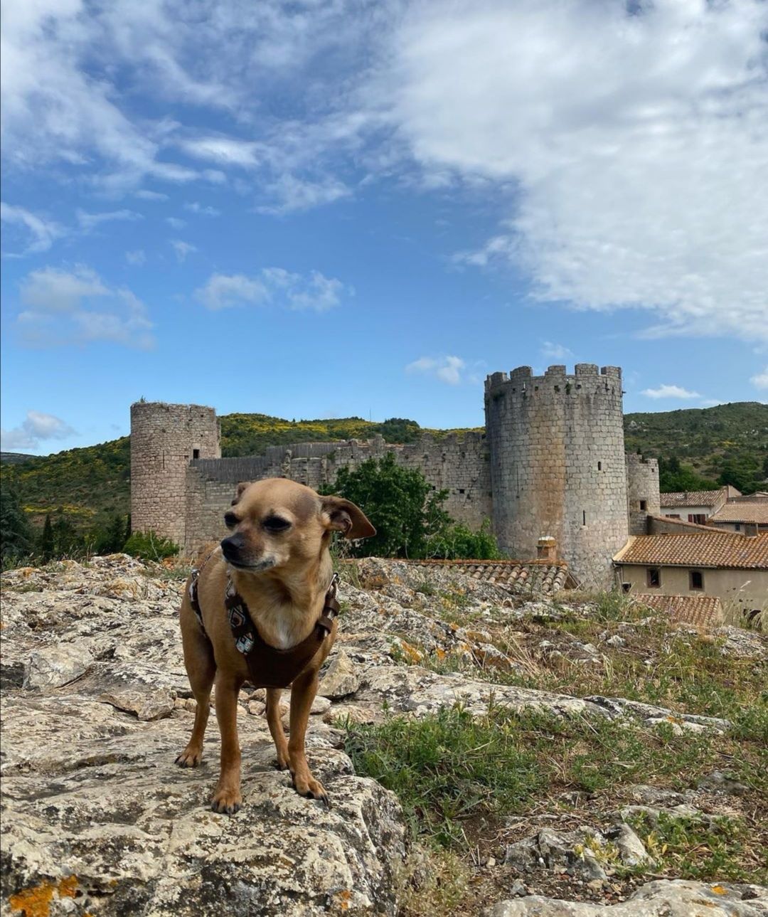 Château de Villerouge-Termenès