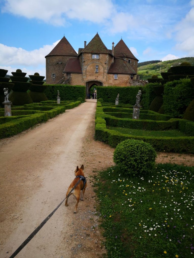 château qui accepte les chiens en bourgogne berzé le châtel