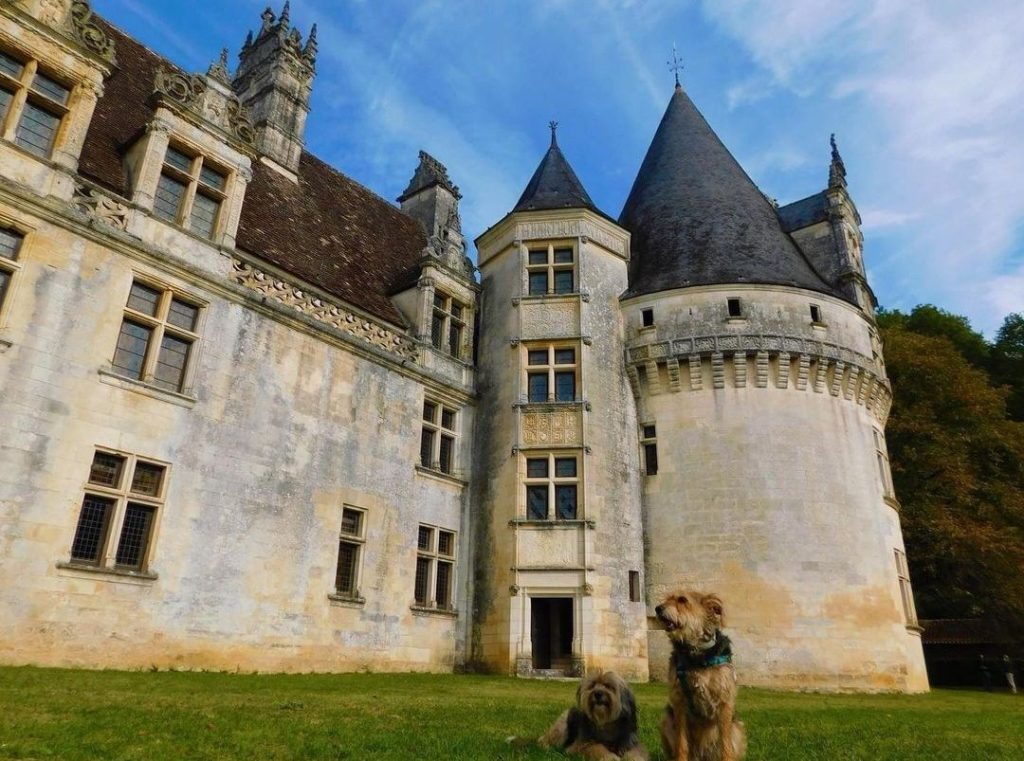 chien qui visite château de puyguilhem