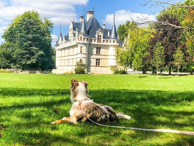 Château d'Azay-le-Rideau