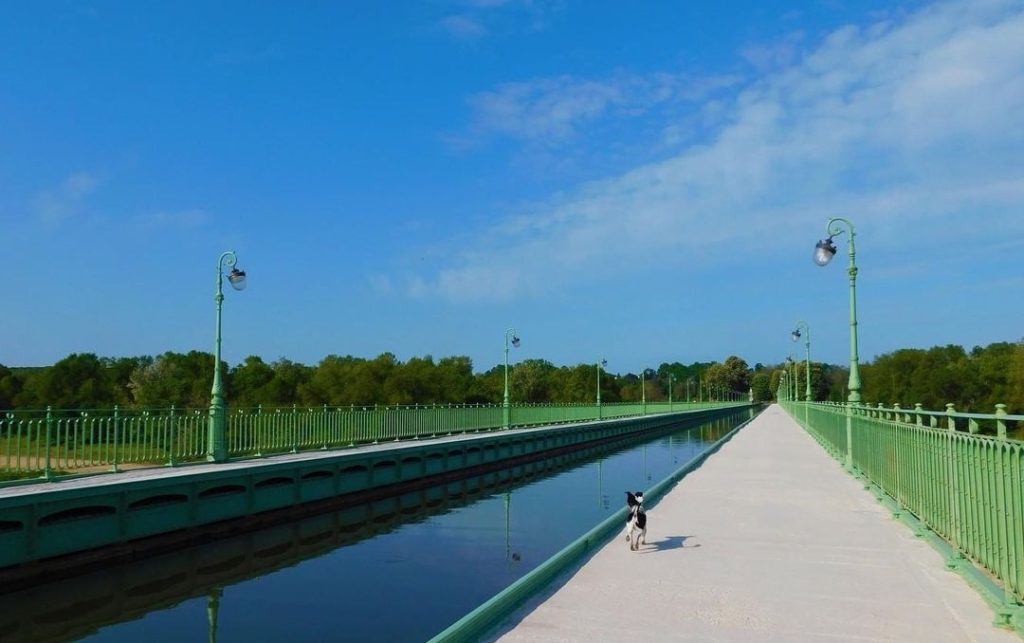 découverte avec chien pont-canal de briare