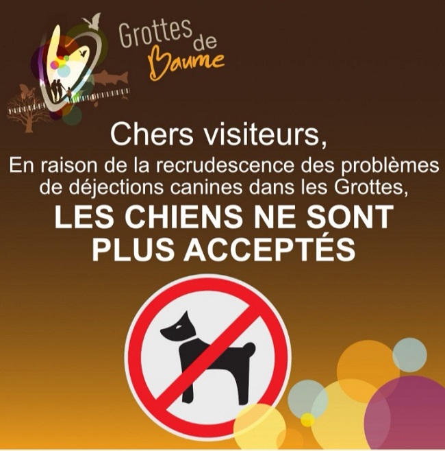 grottes de baume chien