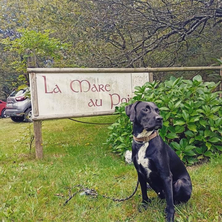 Parc de Sculptures la Mare au Poivre