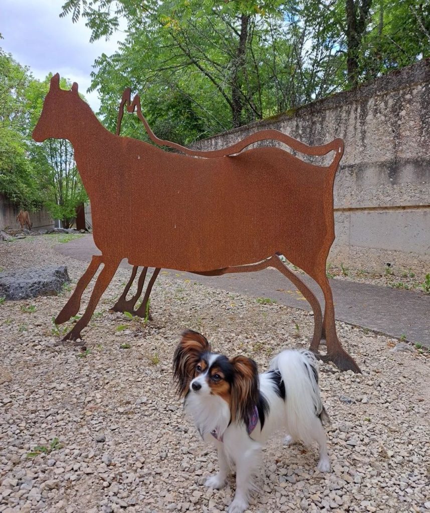 le roc aux sorciers visite chien accepté