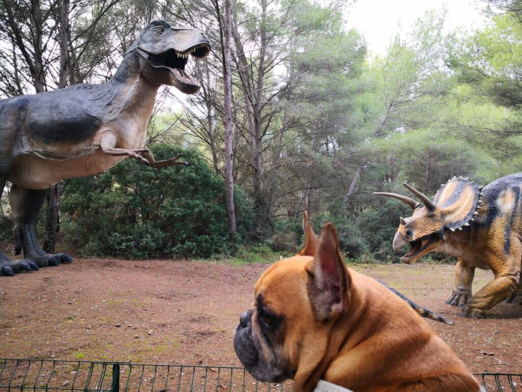 musée des dinosaures avec chien