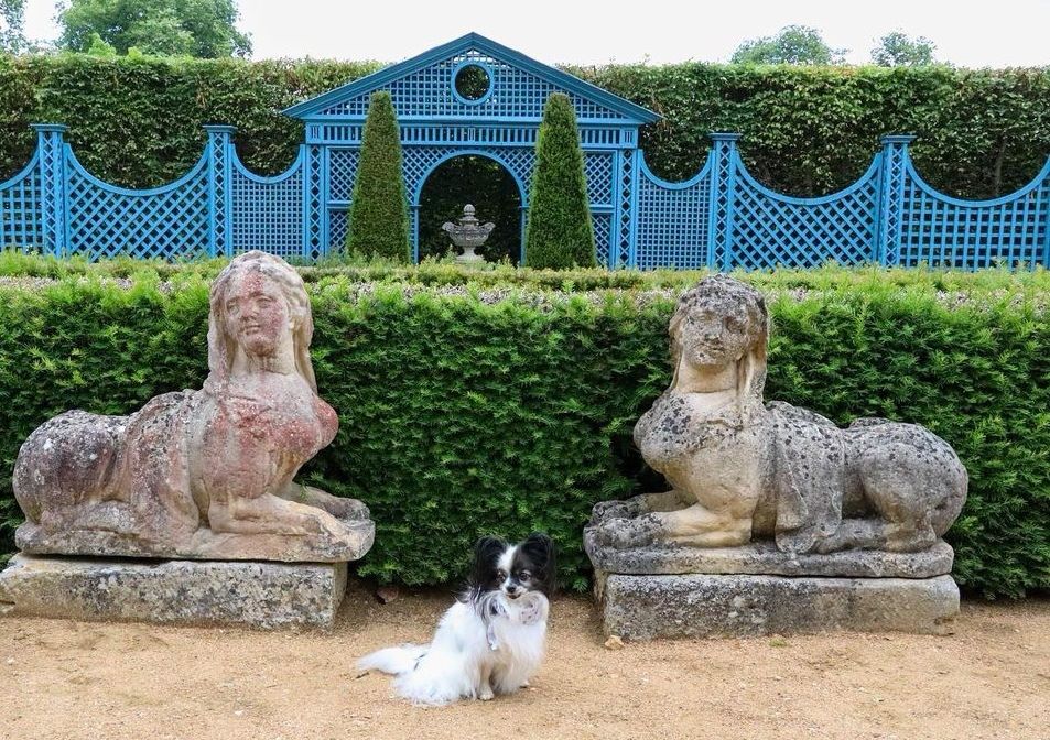 parc du château d'Ainay-le-Vieil chien autorisé