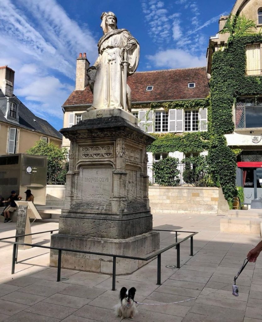 que faire à bourges avec un chien