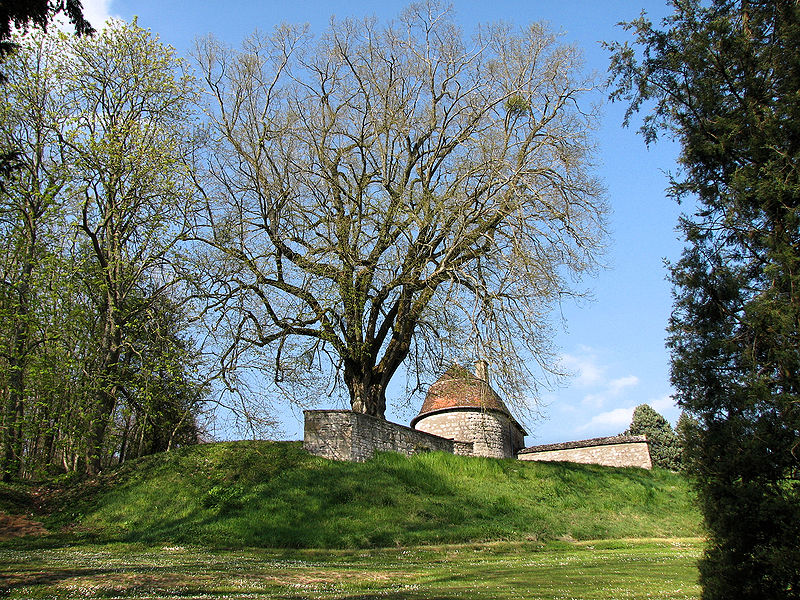 Parc du Château de Ray sur Saône