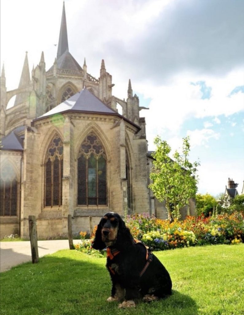 séjour avec chien à vendôme