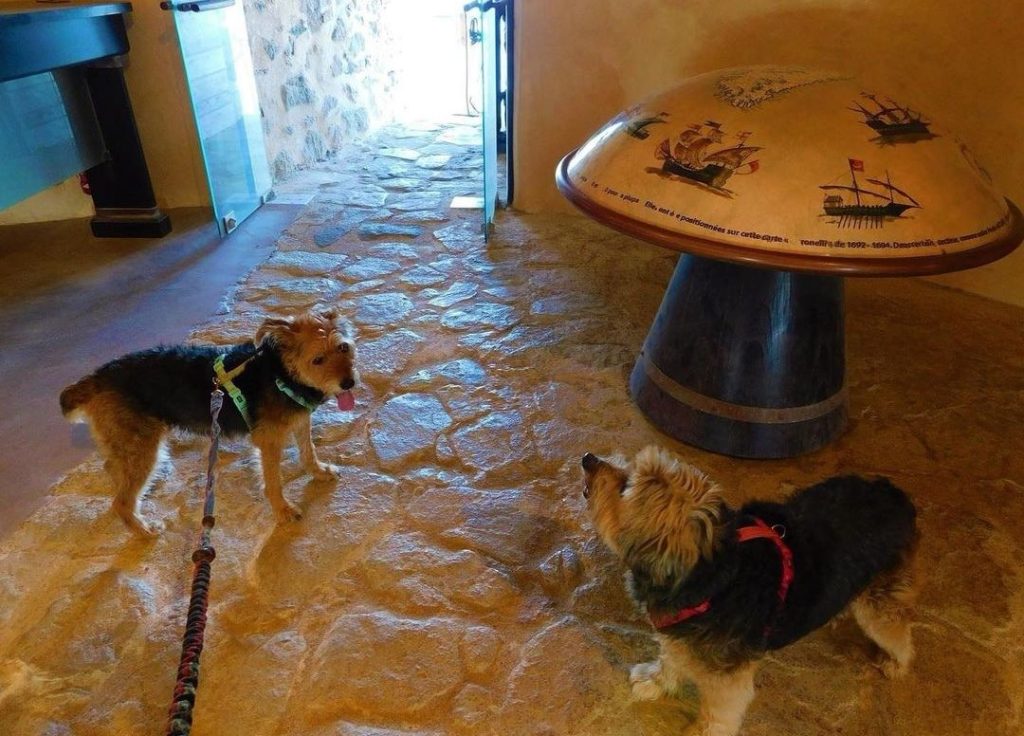 tour de campomoro visite avec chien en corse