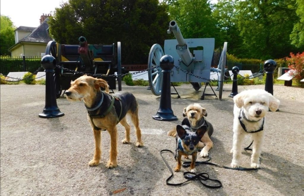 vacance avec chien dans l'oise clairiere de l'armistice