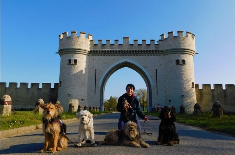 visite boulancourt avec chien