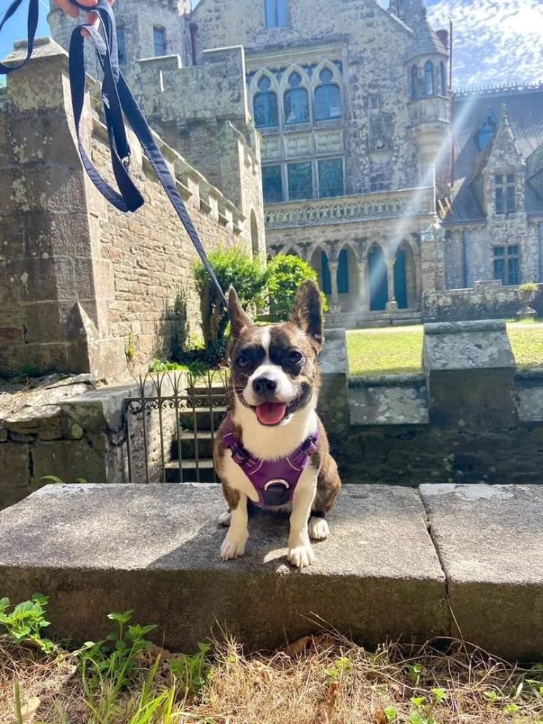 visite château de keriolet avec chien