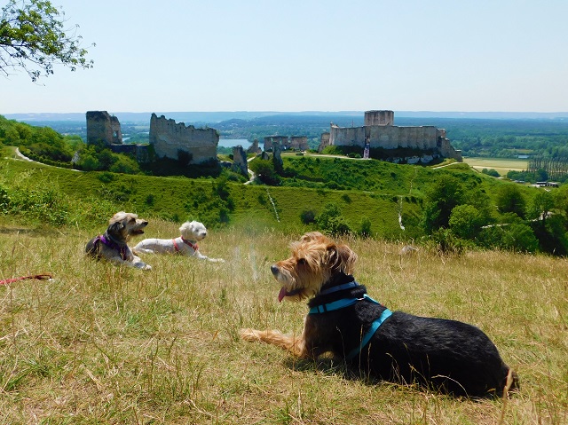 Château Gaillard Les Andélys