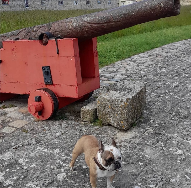 Citadelle de Brouage