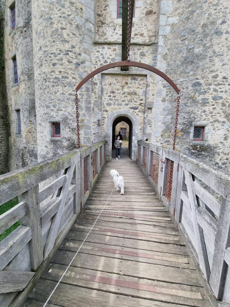 visite du château de saint mesmin avec chien