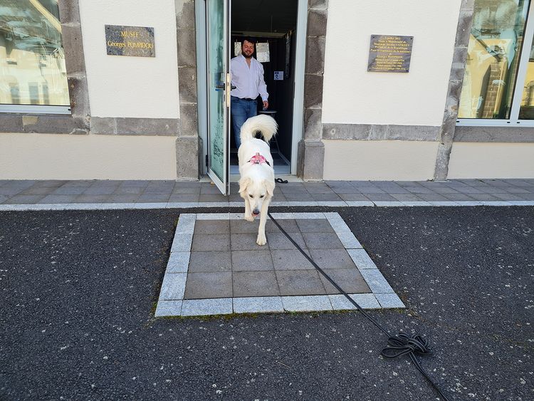 visite musée avec chien cantal georges pompidou