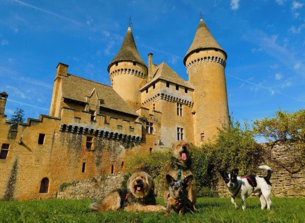 visite parc château de puymartin avec chien