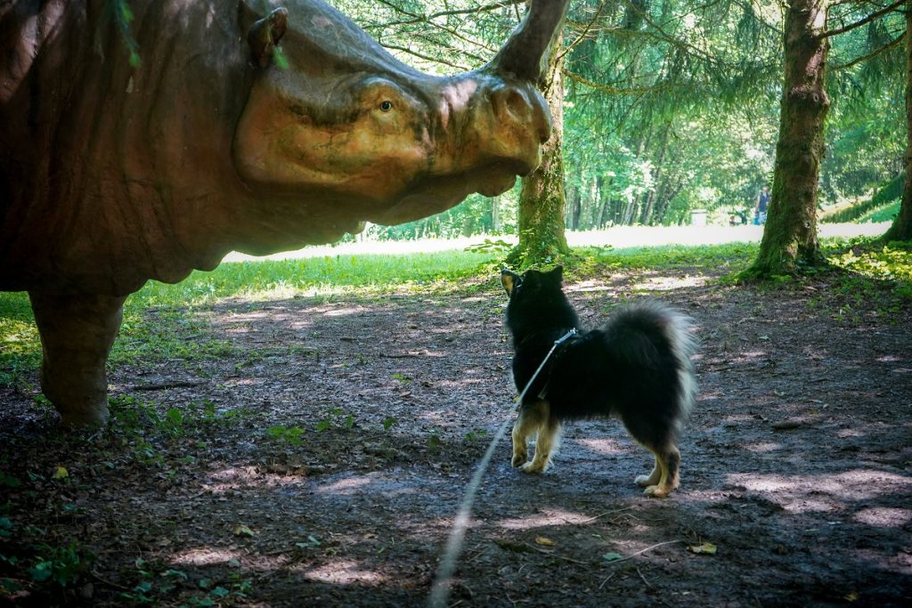 visite parc dino-zoo avec chien