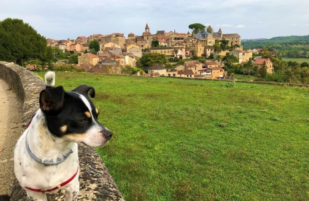 visite plus beaux villages de france avec chien belvès