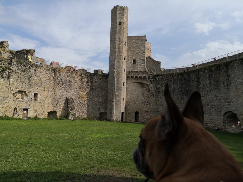 visiter château de billy avec chien