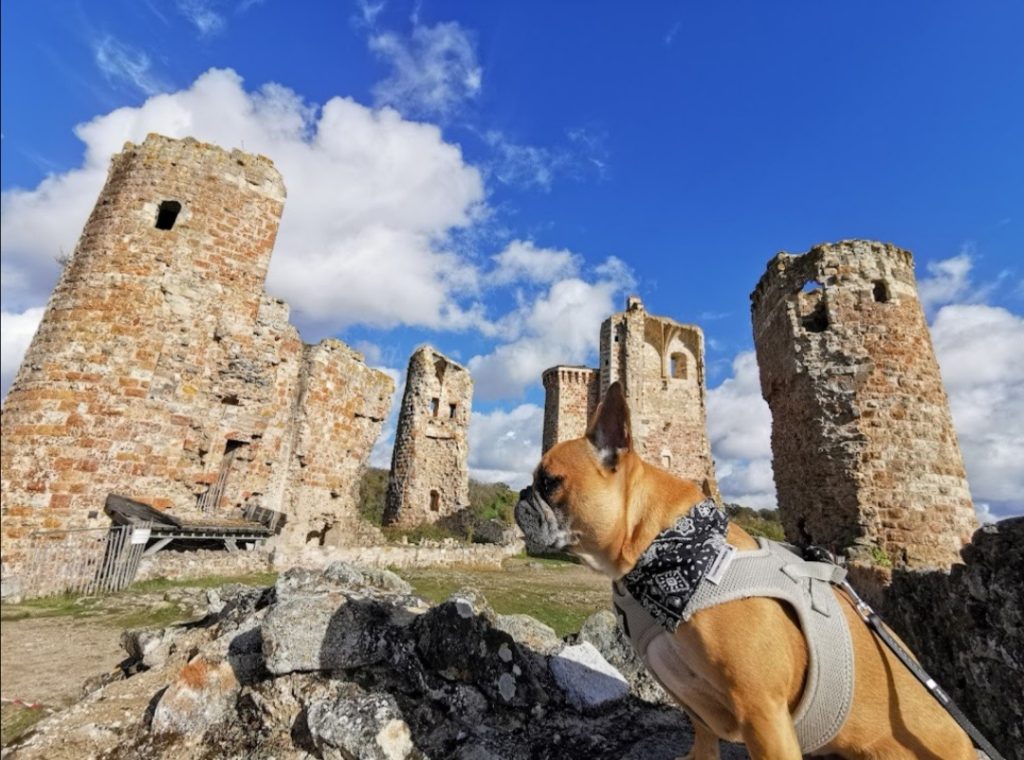 visiter hérisson avec chien dans l'allier