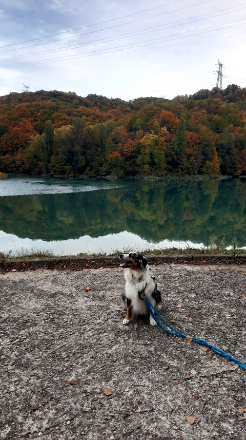 Barrage de Génissiat