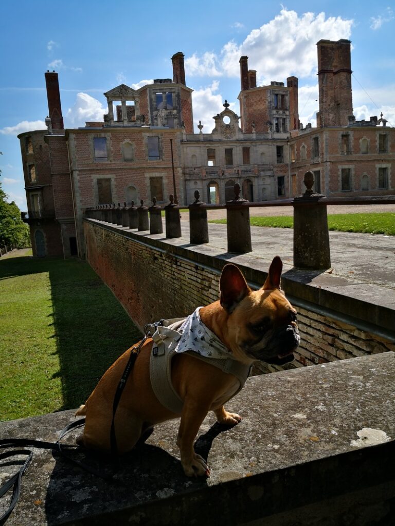 visite domaine royal de randan avec chien