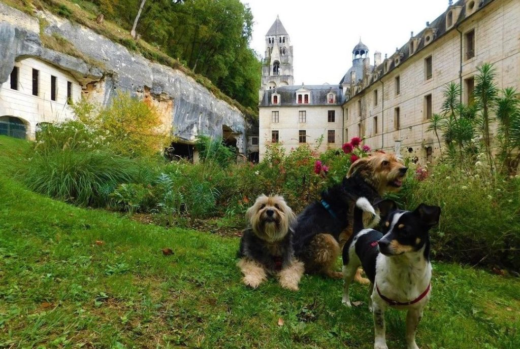 abbaye de brantôme chien accepté