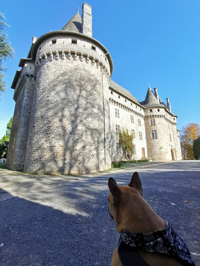 visiter arnac pompadour avec chien