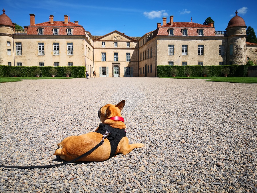 Le Petit Versailles Auvergnat Tourisme Avec Mon Chien