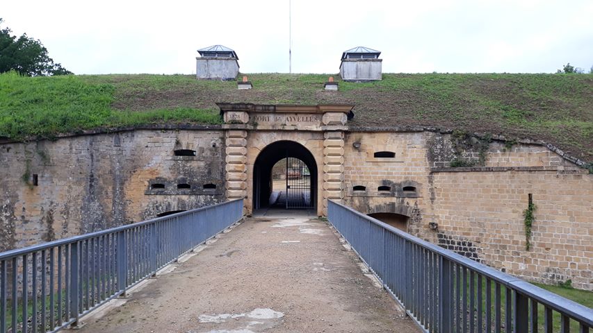 chien visite fort des ayvelles