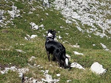 Col des Deux Soeurs