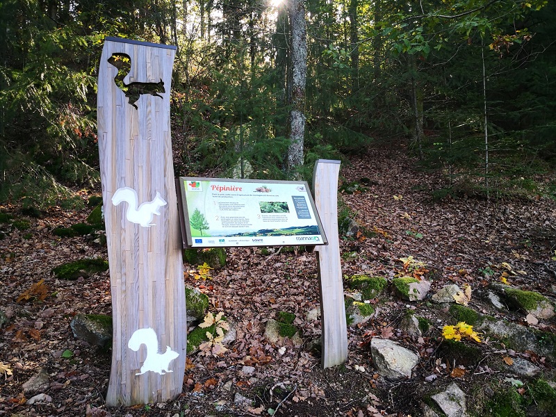 Arboretum et Forêt des Grands Murcins