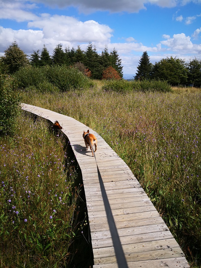 Plateau de la Verrerie