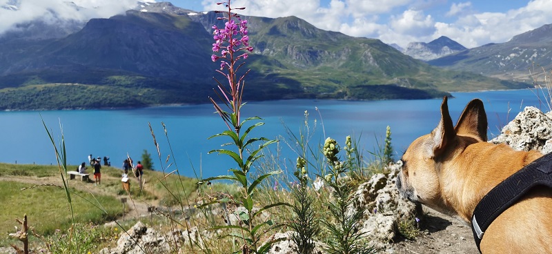 Lac du Mont-Cenis