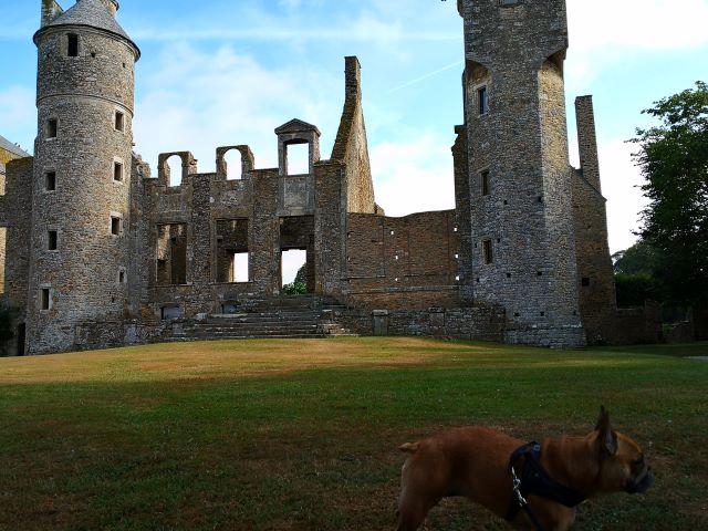 château du gratot avec chien