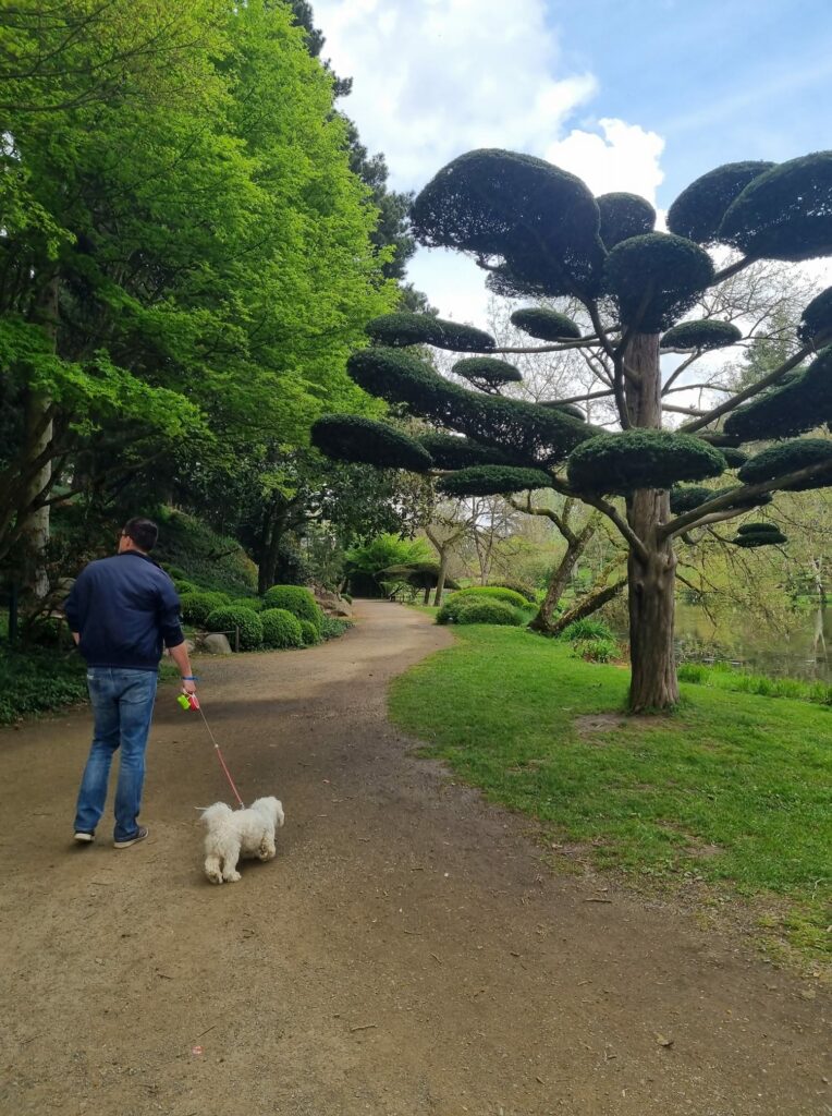 parc oriental du maulévrier chien accepté