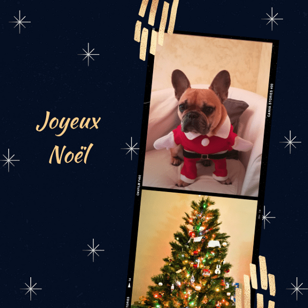 Joyeux Noël! | Tourisme avec mon chien