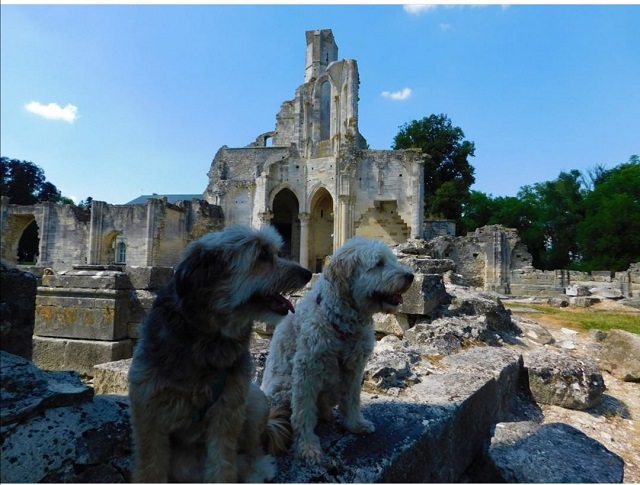 Abbaye royale de Chaalis