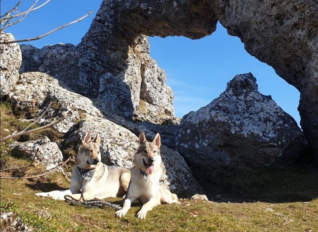 randonnée pierre percée avec chien