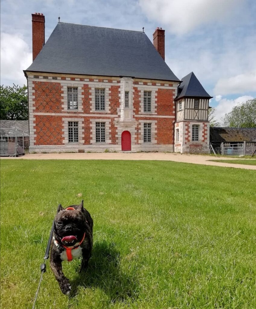 visite parc manoir du fay avec chien